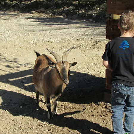 Mobilhome Place Au Sud Climatise-tv Dans Un Camping Familial *